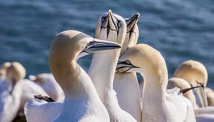 爱游戏在线玩-_防守如铁壁,尼克斯锁死快船_,尼克斯防守效率