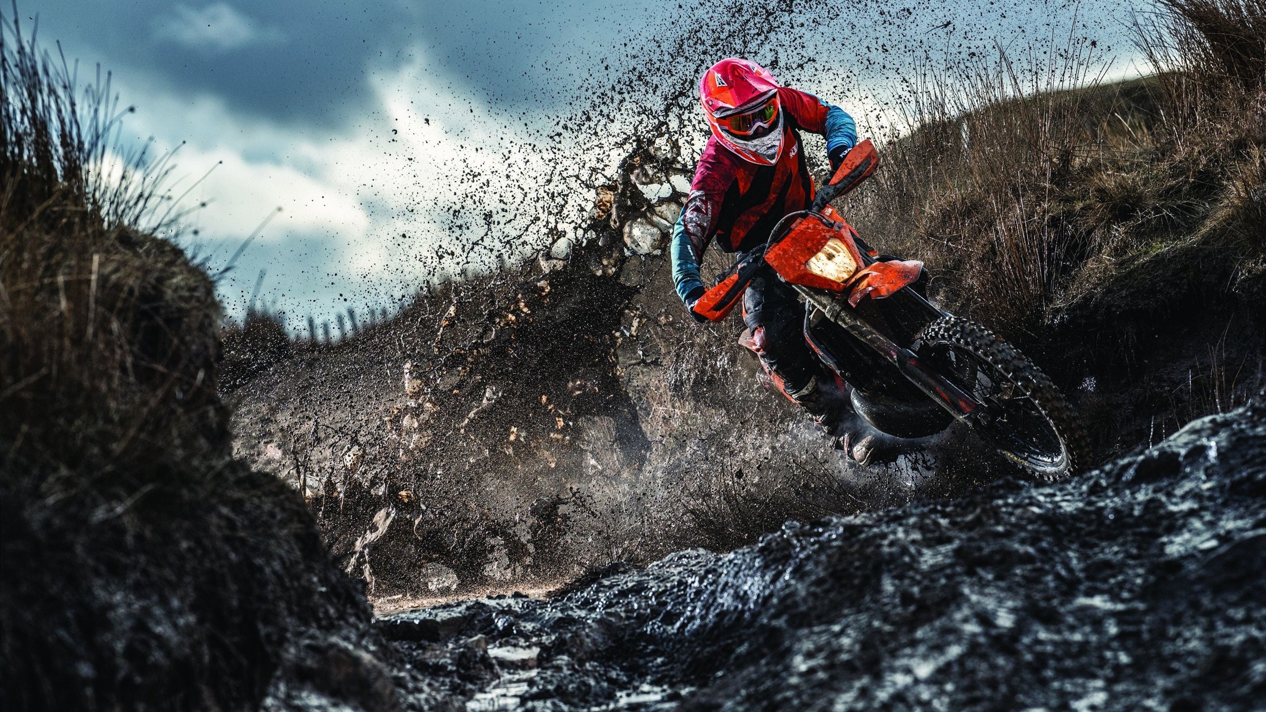 塞内加尔马术协会设立青少年马术奖学金,支持优秀学员发展。,塞内加尔马塔尔